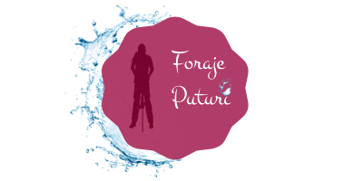 Foraje Puturi